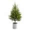 4ft. Unlit Norfolk Island Pine Artificial Christmas Tree